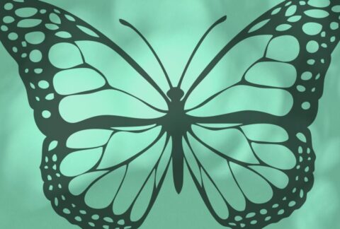 Pedro Ajala - Terapeuta / Banner