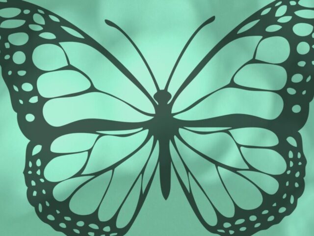 Pedro Ajala - Terapeuta / Banner